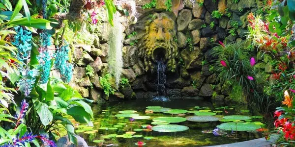 Giardini La Mortella con guida